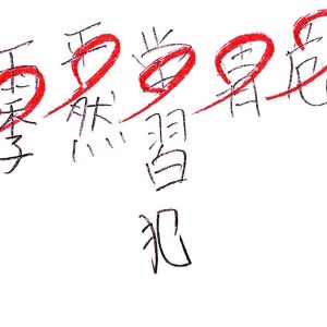 漢字の間違い「学習犯」